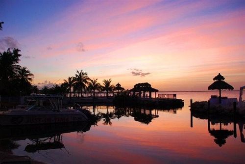 Amoray Dive Resort Key Largo Ngoại thất bức ảnh